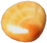 中国不等蛤
