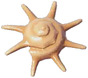 ハリナガリンボウ