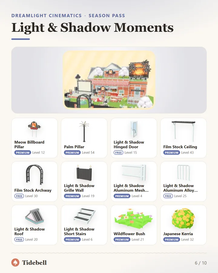 Light & Shadow Moments