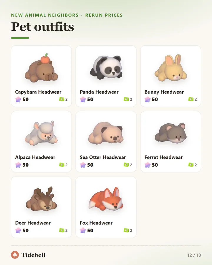 Pet outfits