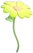 Petal Muse Daisy Umbrella