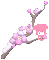 相思梅花枝