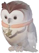 Owl Partner