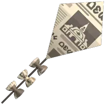 Kite