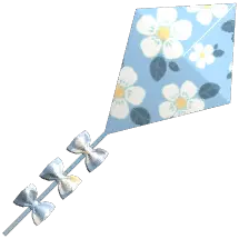 Kite
