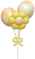 Flower Balloon Set